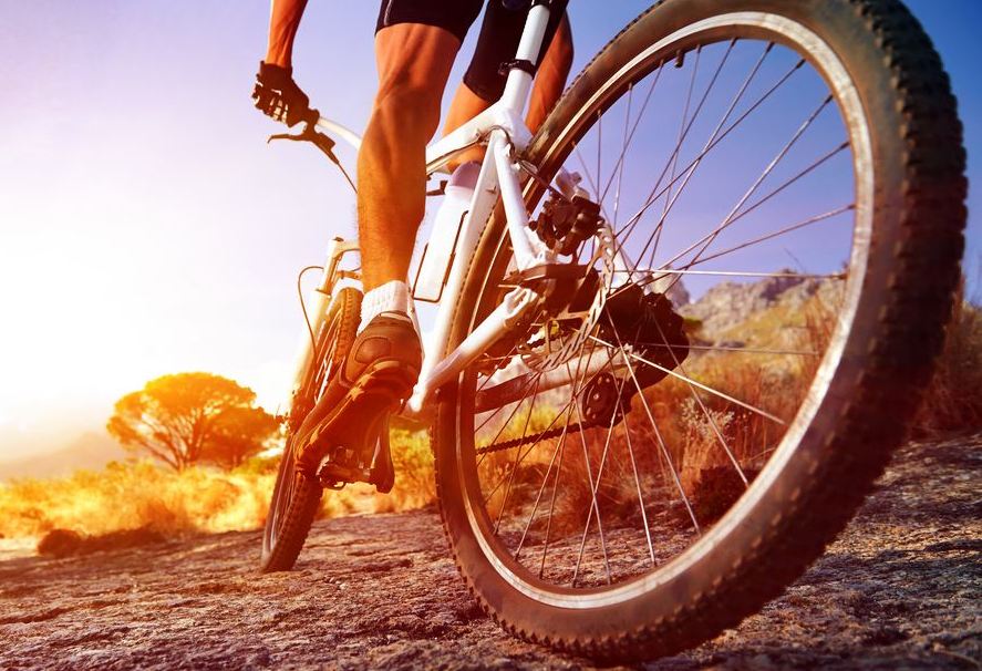 Bicycle Accidents and the Rights of Injured Victims